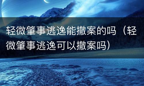 轻微肇事逃逸能撤案的吗（轻微肇事逃逸可以撤案吗）