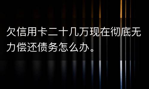欠信用卡二十几万现在彻底无力偿还债务怎么办。