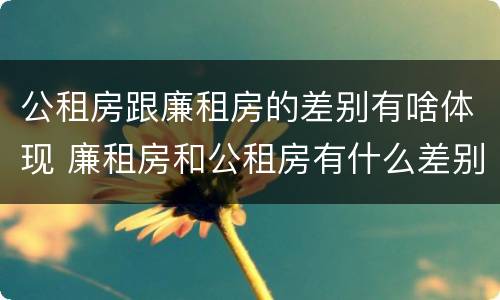 公租房跟廉租房的差别有啥体现 廉租房和公租房有什么差别