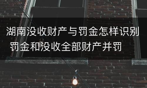 湖南没收财产与罚金怎样识别 罚金和没收全部财产并罚