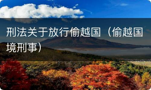 刑法关于放行偷越国（偷越国境刑事）