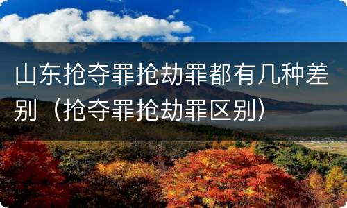 山东抢夺罪抢劫罪都有几种差别（抢夺罪抢劫罪区别）
