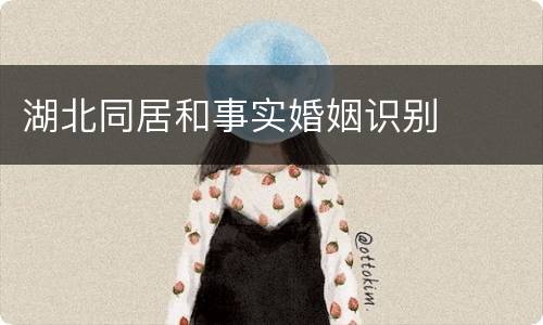 湖北同居和事实婚姻识别