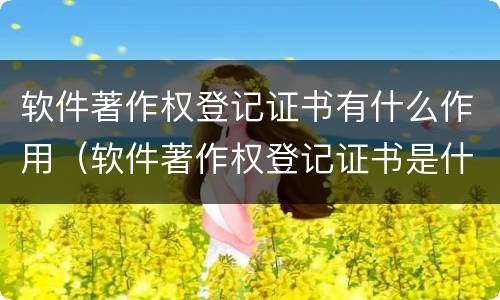软件著作权登记证书有什么作用（软件著作权登记证书是什么）