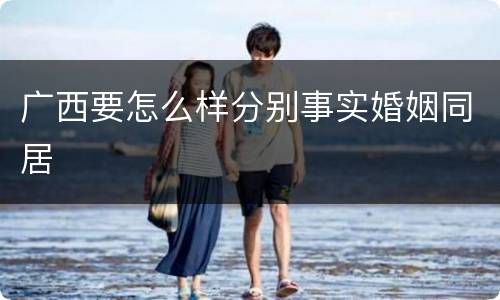 广西要怎么样分别事实婚姻同居