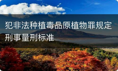 犯非法种植毒品原植物罪规定刑事量刑标准