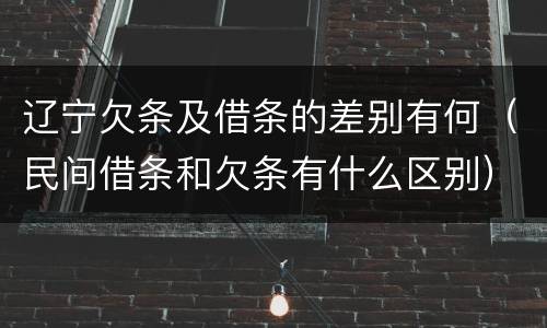 辽宁欠条及借条的差别有何（民间借条和欠条有什么区别）