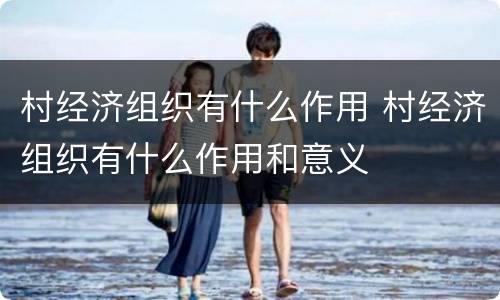 村经济组织有什么作用 村经济组织有什么作用和意义