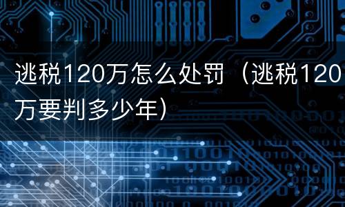 逃税120万怎么处罚（逃税120万要判多少年）