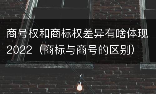 商号权和商标权差异有啥体现2022（商标与商号的区别）