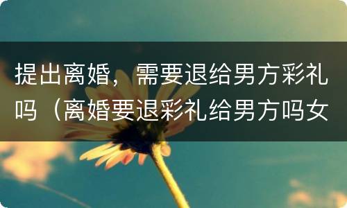 提出离婚，需要退给男方彩礼吗（离婚要退彩礼给男方吗女方提出）