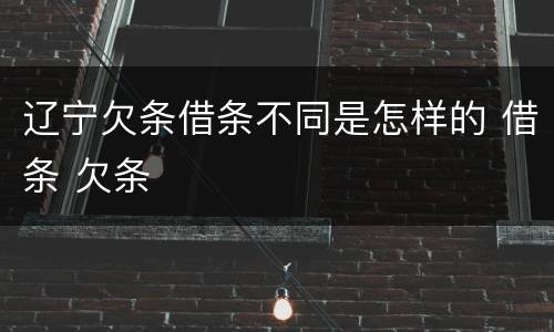 辽宁欠条借条不同是怎样的 借条 欠条