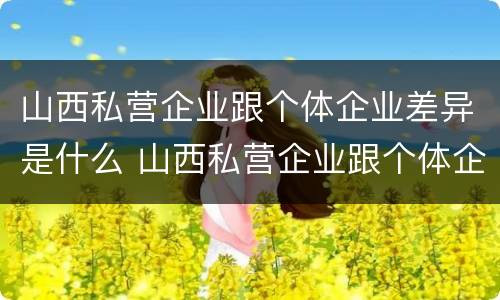 山西私营企业跟个体企业差异是什么 山西私营企业跟个体企业差异是什么性质