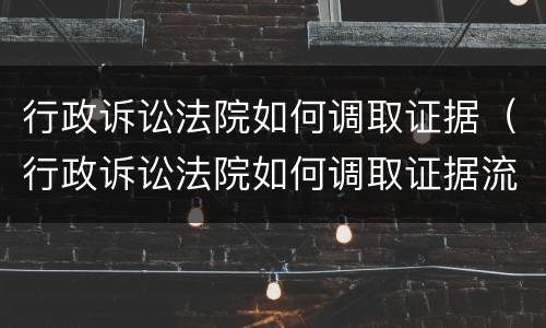 行政诉讼法院如何调取证据（行政诉讼法院如何调取证据流程）
