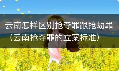 云南怎样区别抢夺罪跟抢劫罪（云南抢夺罪的立案标准）