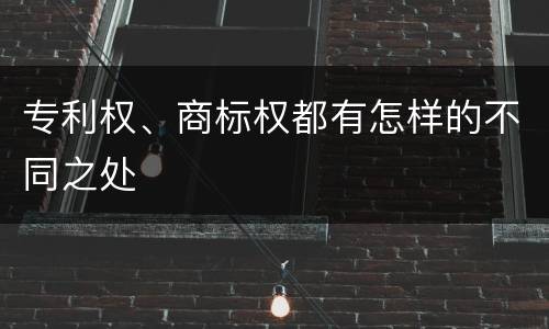 专利权、商标权都有怎样的不同之处