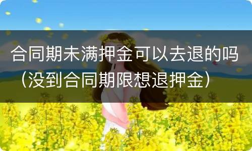 合同期未满押金可以去退的吗（没到合同期限想退押金）