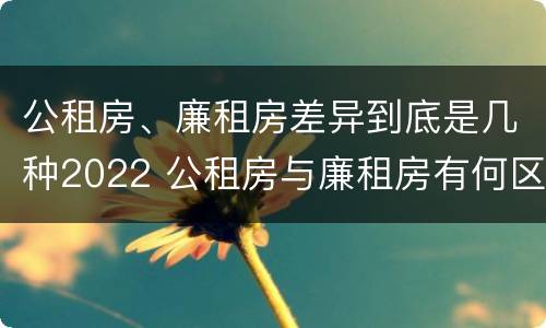 公租房、廉租房差异到底是几种2022 公租房与廉租房有何区别