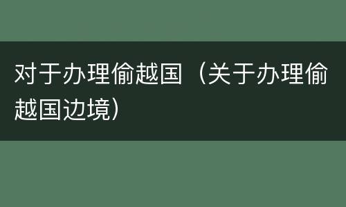 对于办理偷越国（关于办理偷越国边境）
