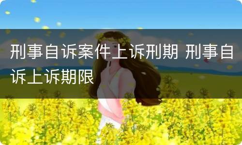 刑事自诉案件上诉刑期 刑事自诉上诉期限