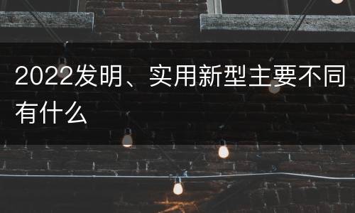 2022发明、实用新型主要不同有什么