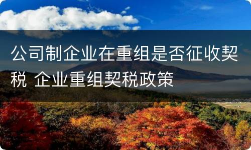 公司制企业在重组是否征收契税 企业重组契税政策