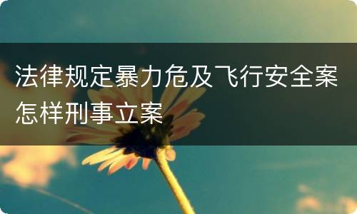 法律规定暴力危及飞行安全案怎样刑事立案