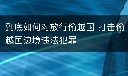到底如何对放行偷越国 打击偷越国边境违法犯罪