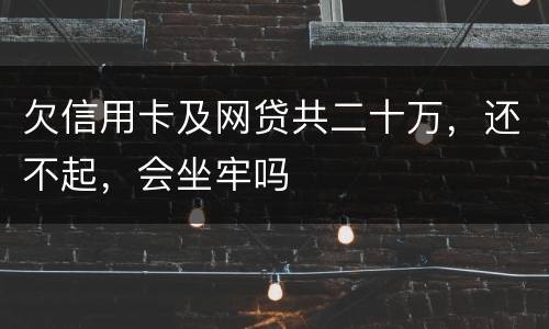 欠信用卡及网贷共二十万，还不起，会坐牢吗