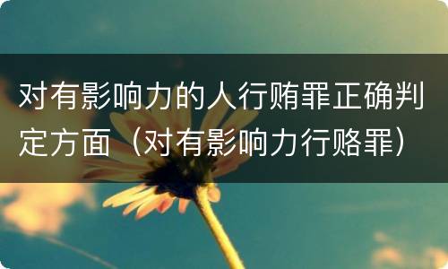 对有影响力的人行贿罪正确判定方面（对有影响力行赂罪）