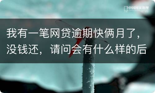 我有一笔网贷逾期快俩月了，没钱还，请问会有什么样的后果