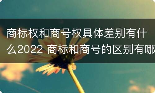 商标权和商号权具体差别有什么2022 商标和商号的区别有哪些?
