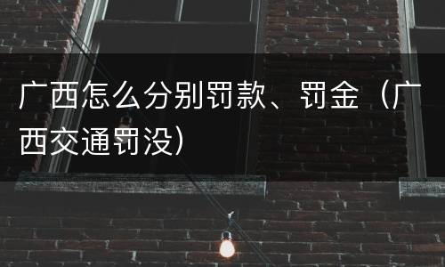 广西怎么分别罚款、罚金（广西交通罚没）