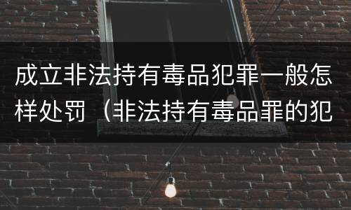 成立非法持有毒品犯罪一般怎样处罚（非法持有毒品罪的犯罪构成）