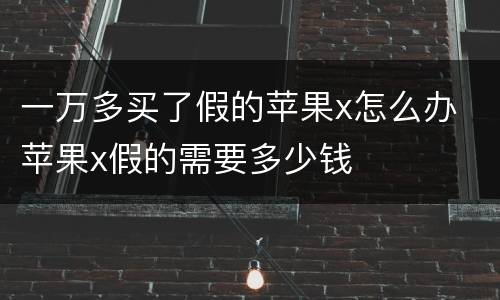 一万多买了假的苹果x怎么办 苹果x假的需要多少钱
