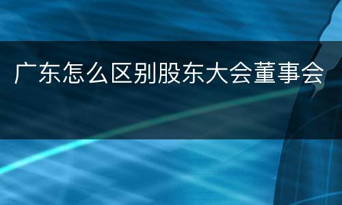 广东怎么区别股东大会董事会