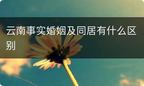 云南事实婚姻及同居有什么区别