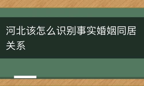 河北该怎么识别事实婚姻同居关系