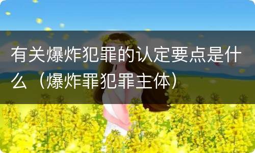 有关爆炸犯罪的认定要点是什么（爆炸罪犯罪主体）