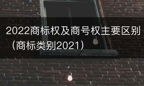 2022商标权及商号权主要区别（商标类别2021）