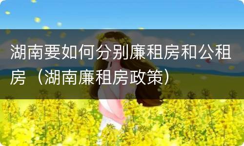 湖南要如何分别廉租房和公租房（湖南廉租房政策）