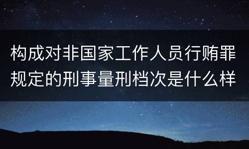 构成对非国家工作人员行贿罪规定的刑事量刑档次是什么样的