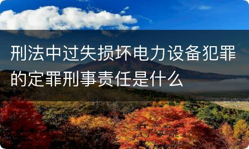刑法中过失损坏电力设备犯罪的定罪刑事责任是什么
