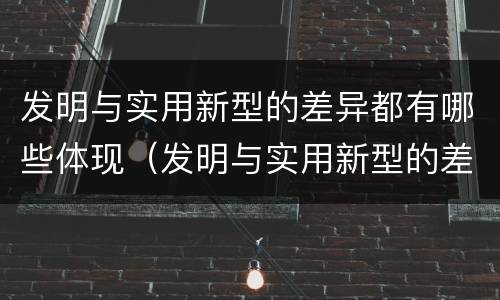 发明与实用新型的差异都有哪些体现（发明与实用新型的差异都有哪些体现出来）