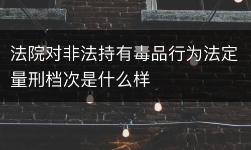 法院对非法持有毒品行为法定量刑档次是什么样