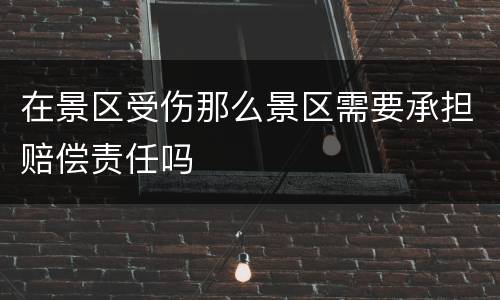 在景区受伤那么景区需要承担赔偿责任吗