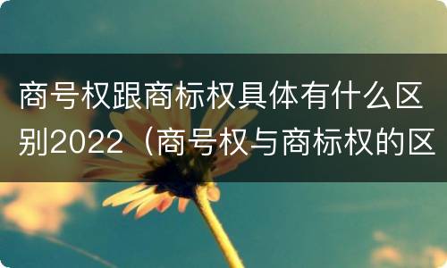 商号权跟商标权具体有什么区别2022（商号权与商标权的区别）