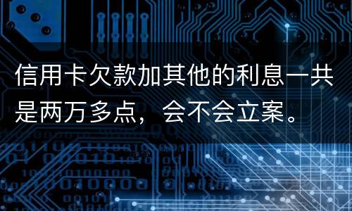 信用卡欠款加其他的利息一共是两万多点，会不会立案。