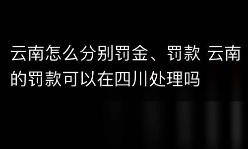 云南怎么分别罚金、罚款 云南的罚款可以在四川处理吗