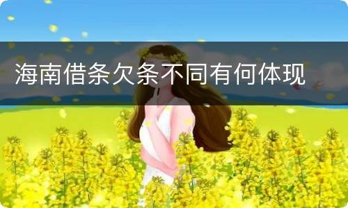 海南借条欠条不同有何体现